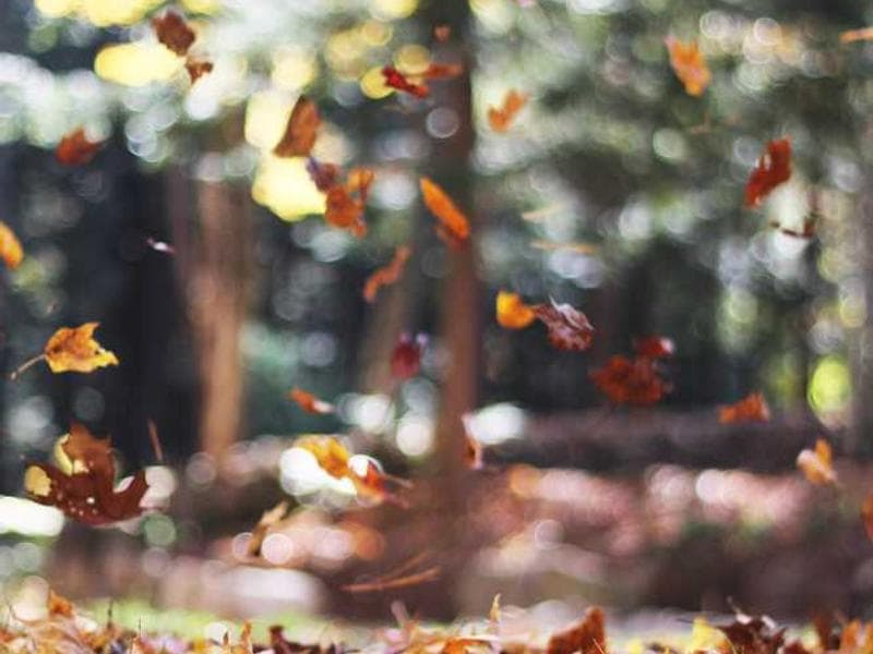 Clase de esmaltado cerámico